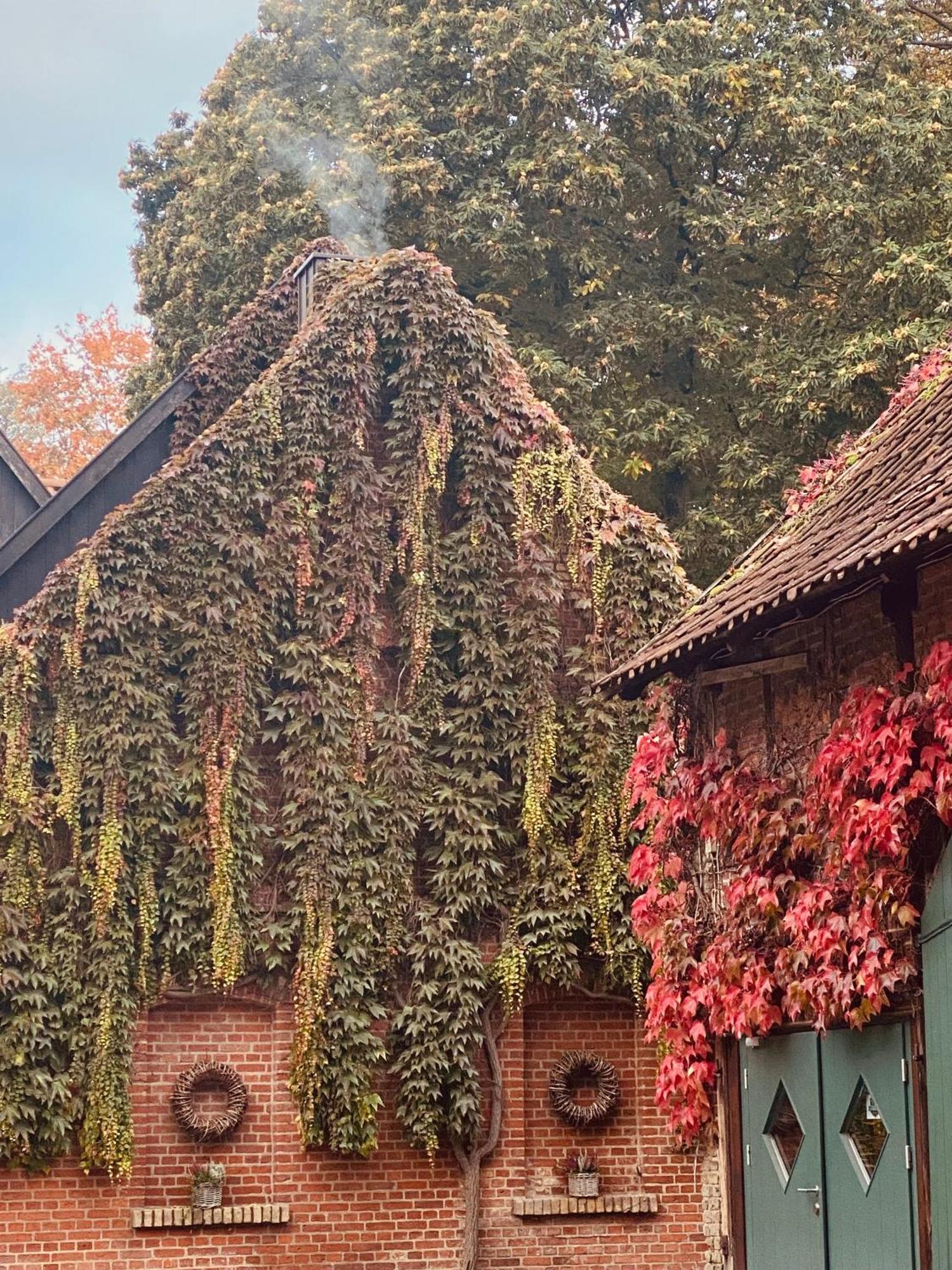 Landhaus Eggert Munster  Exterior photo